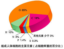 微量元素是哪6种