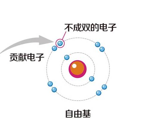 硒产品是弱减性吗