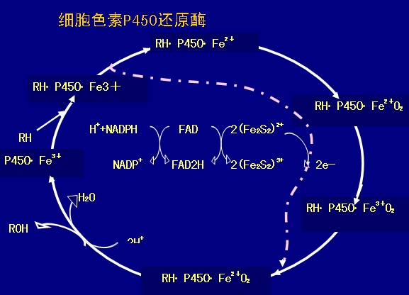 狗狗吃微量元素的作用