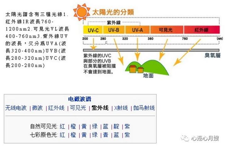 食疗补钙吃什么效果最好