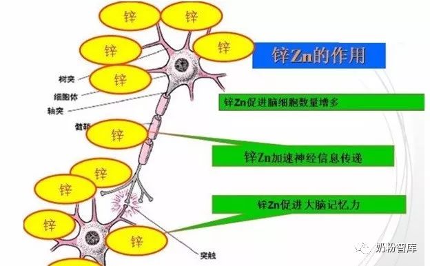 孩子补锌