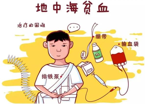 补铁有什么作用和功效