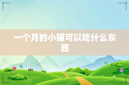 一个月的小猫可以吃什么东西 第1张