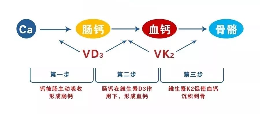 正确补钙的方法