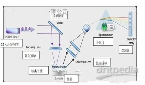 微量元素检测方法