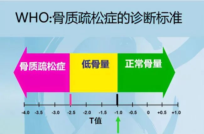 骨头汤补钙吗是真的吗