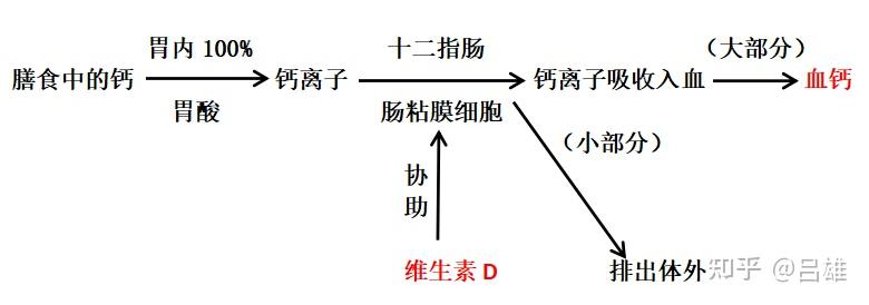 有结石的人能补钙吗