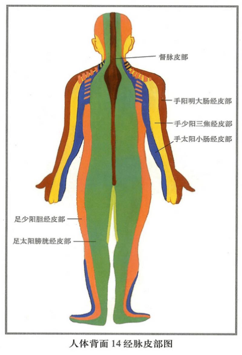 化疗硒维康铁之缘