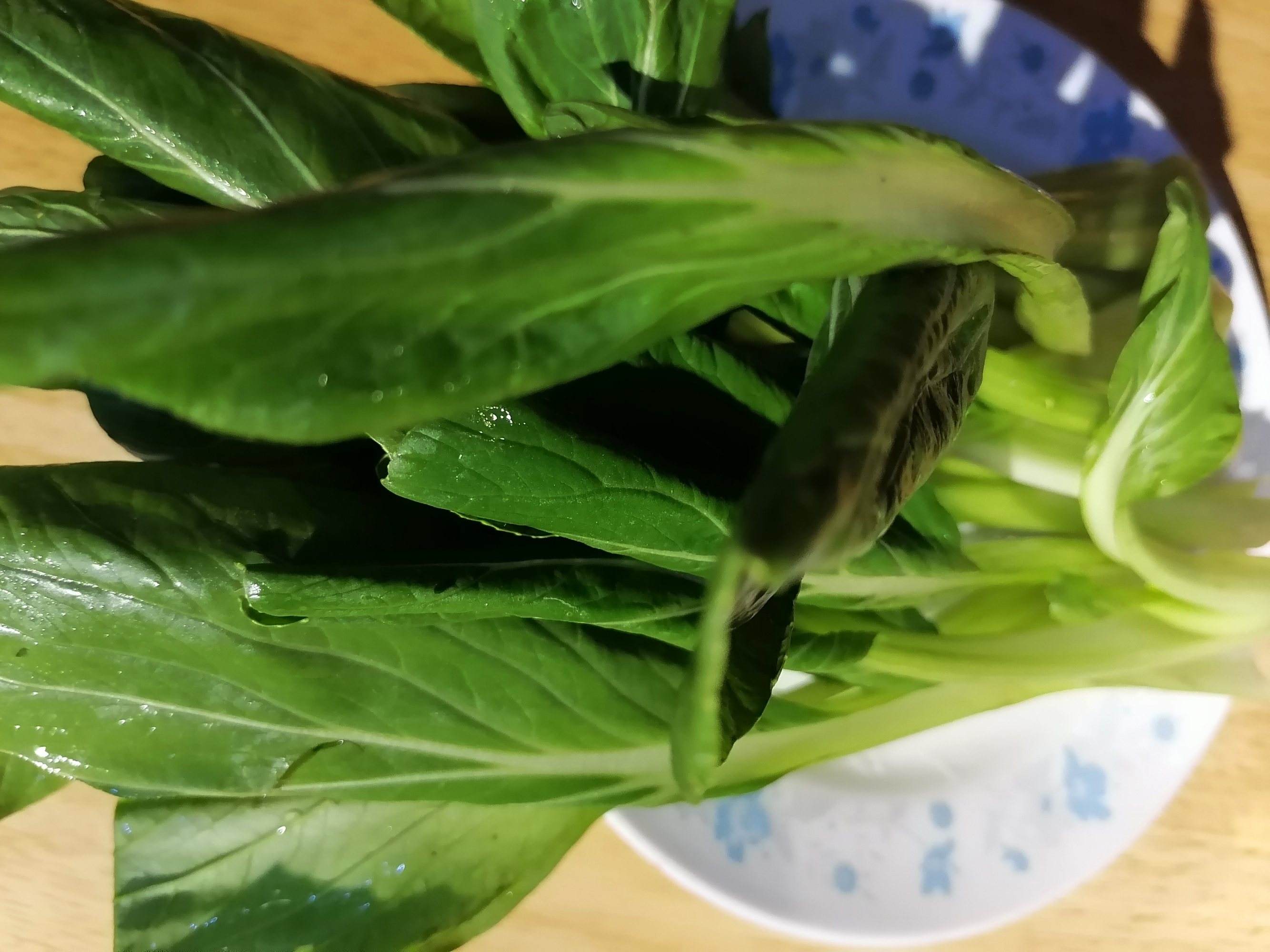 孕妇最补钙的10种食物