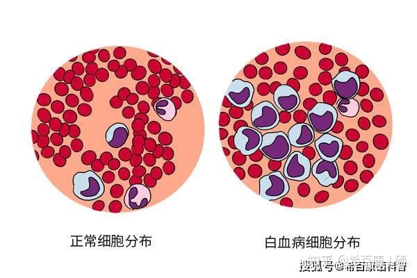 儿童锌硒宝吃多久