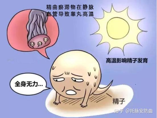 男士锌硒宝怎么吃