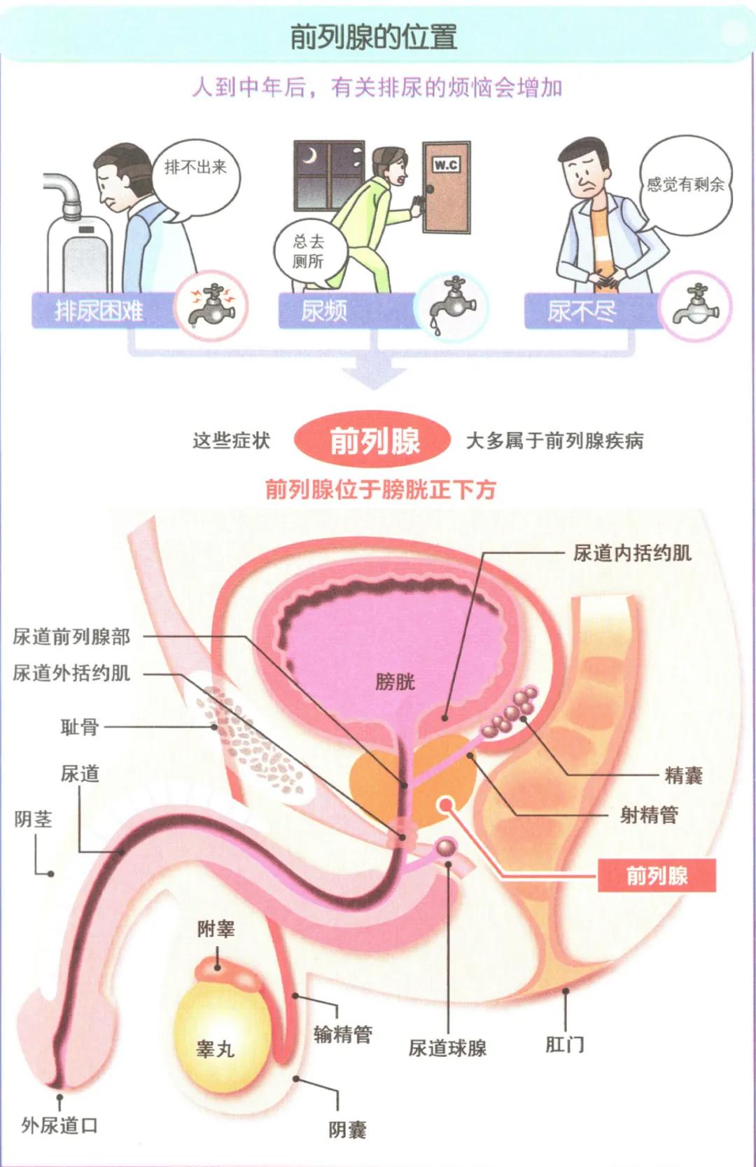 锌硒宝对男人好吗