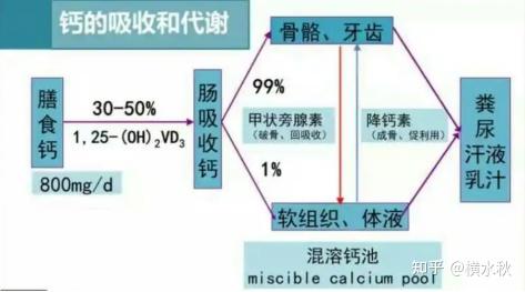 补钙喝什么