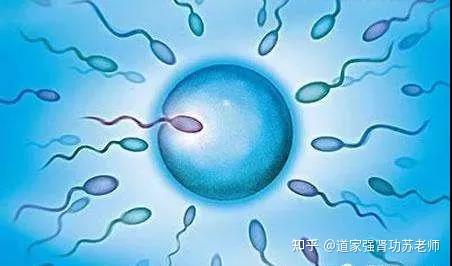 锌硒宝对精子密度