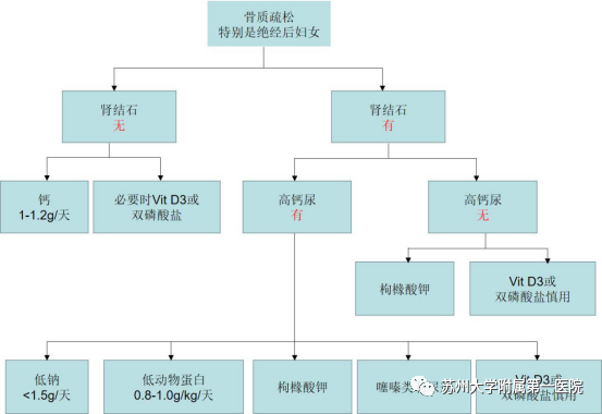 肾结石可以补钙吗