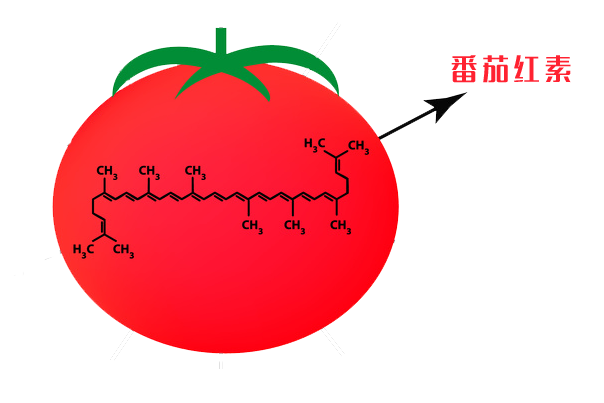 补微量元素吃什么好