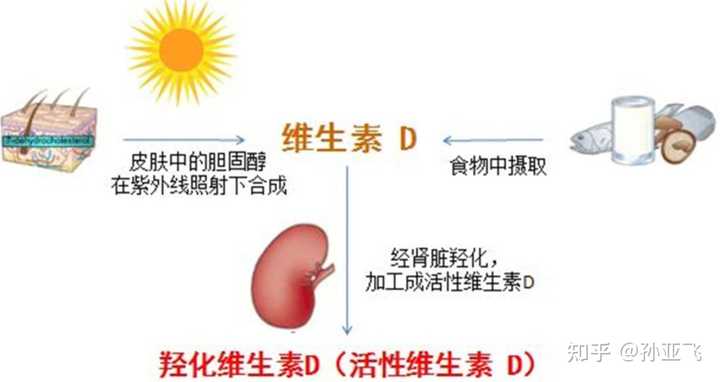 补钙的重要性