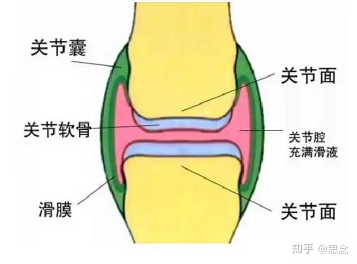 膝盖疼补钙管用吗