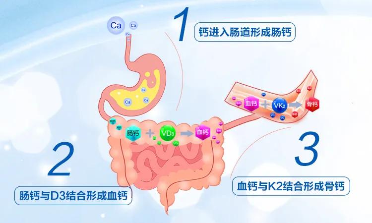 3个月的宝宝需要补钙吗