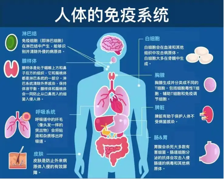 吃锌硒宝最佳时间