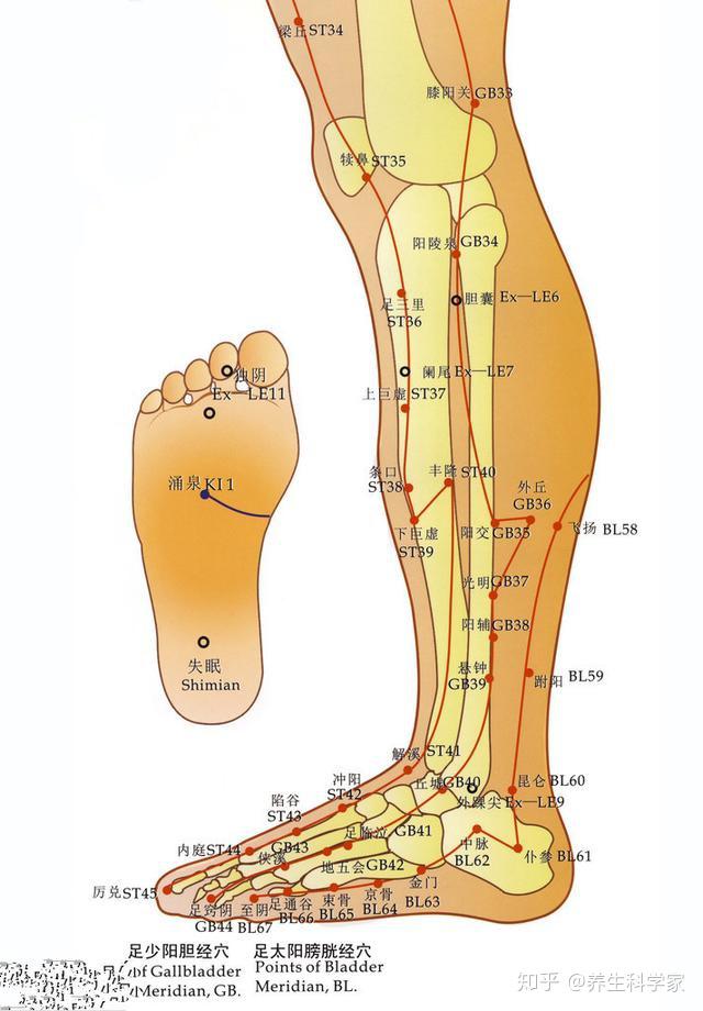 锌硒宝可以喝肾宝