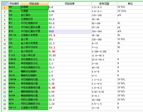 孕期什么时候补铁最好