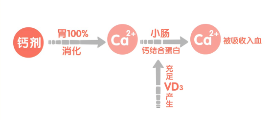 哪生产的锌硒宝好