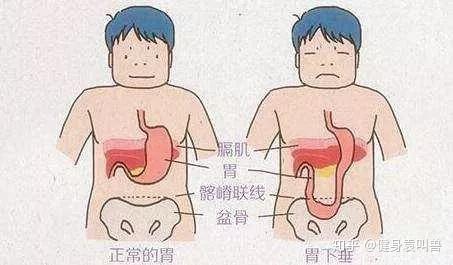 饭后接着吃锌硒宝