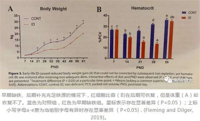 什么肉补铁