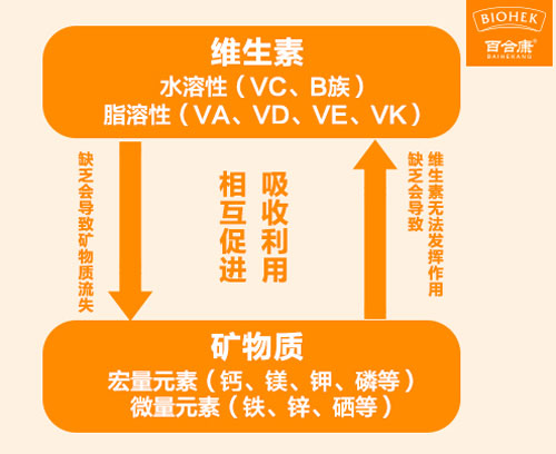 锌硒宝善存片补锌