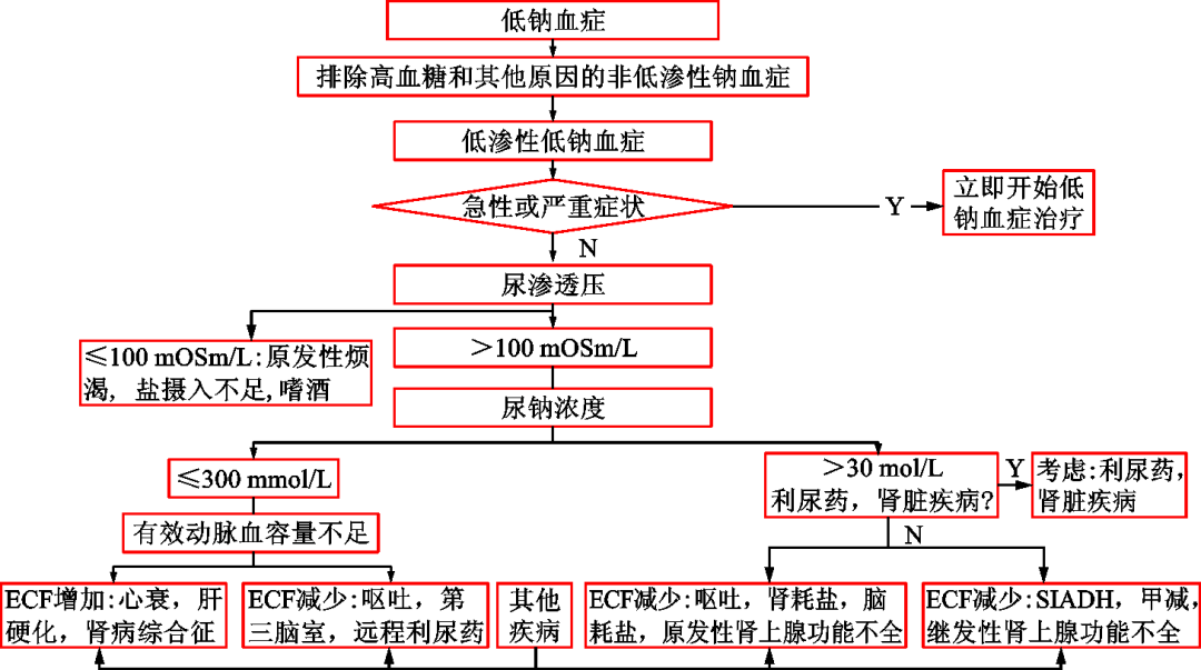 钠怎么补