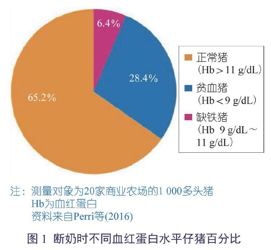 锌硒宝片 咀嚼片