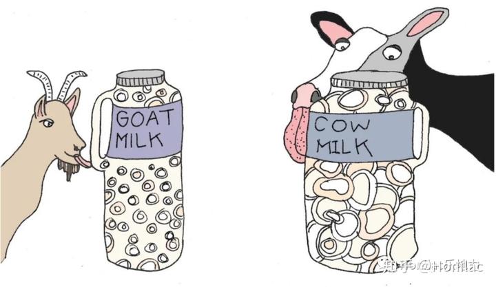 羊奶补钙好还是牛奶补钙好