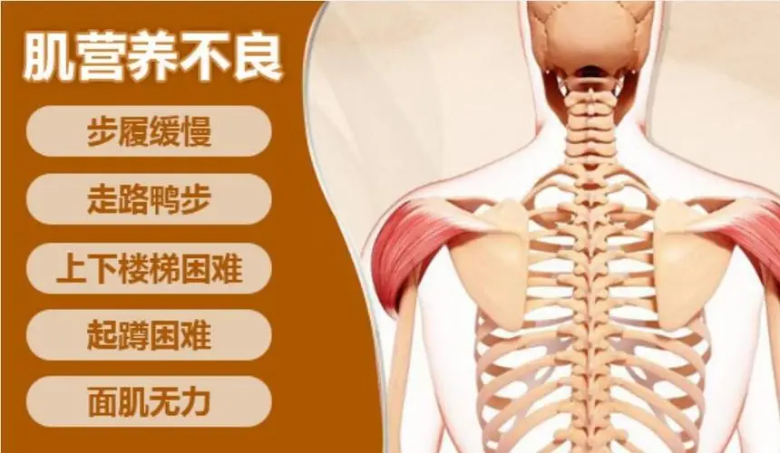 身体缺少微量元素的表现