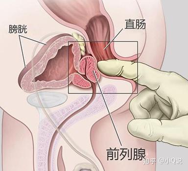 男性营养素锌硒宝