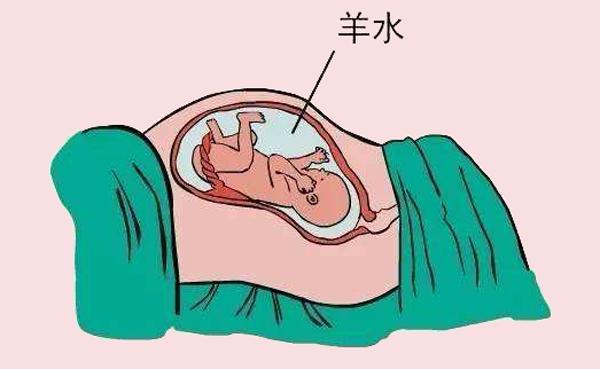 婴儿几个月补锌