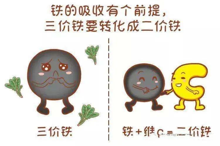 怎么补铁蛋白