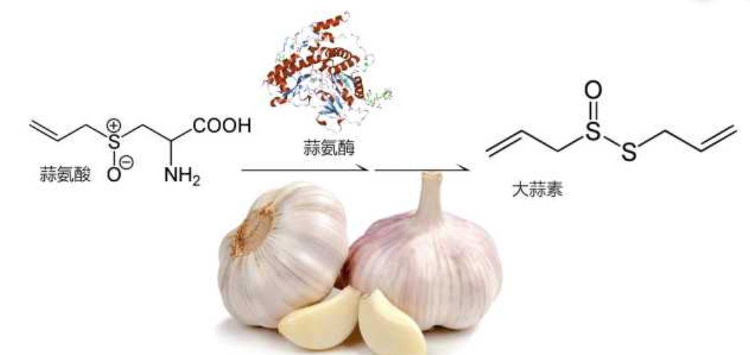 锌硒宝治疗前列腺