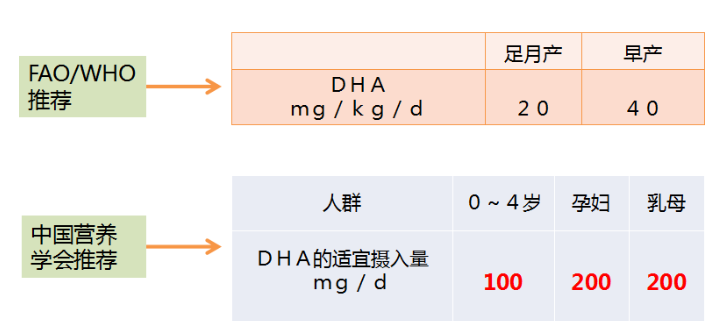 dha可以补钙吗