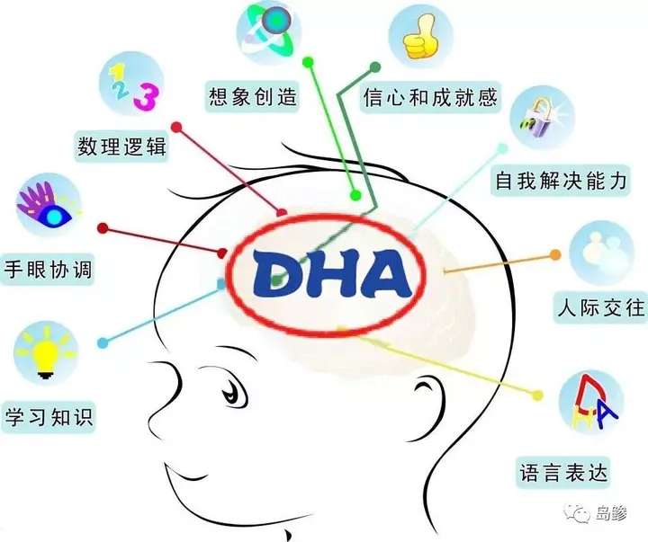 dha可以补钙吗