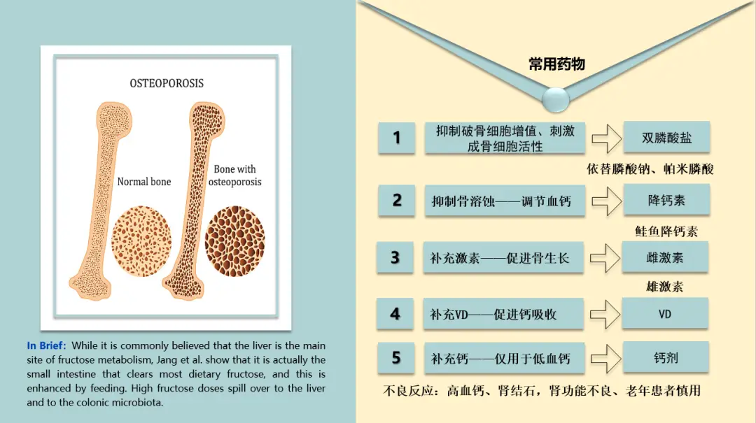 骨肽补钙效果好不好