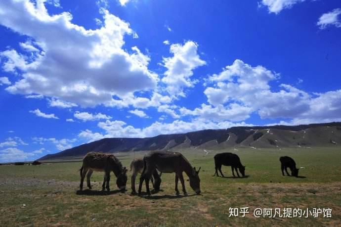 补硒可以提高视力吗