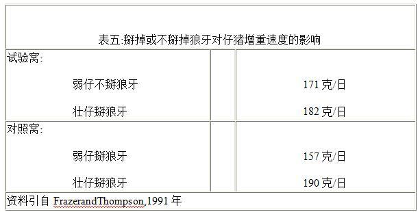 小猪产下来几天补硒