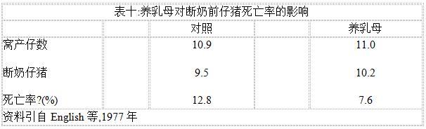 小猪产下来几天补硒