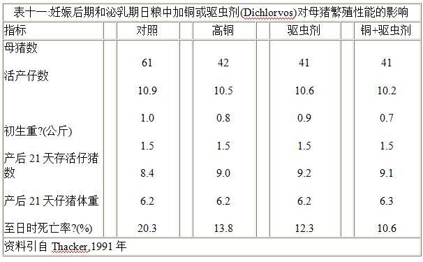 小猪产下来几天补硒