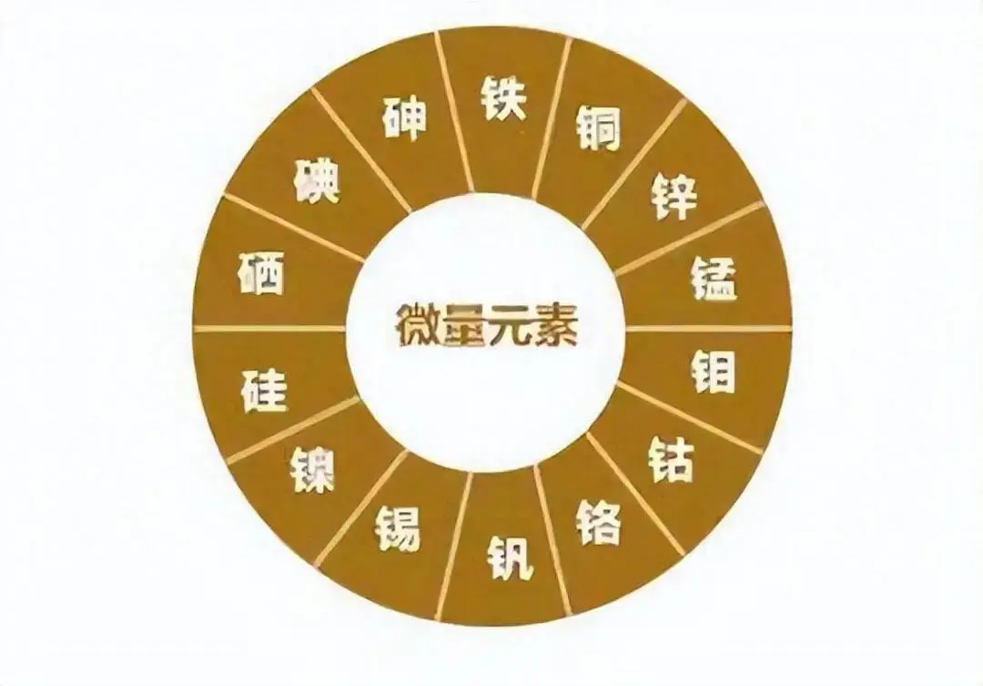 缺乏微量元素怎么补