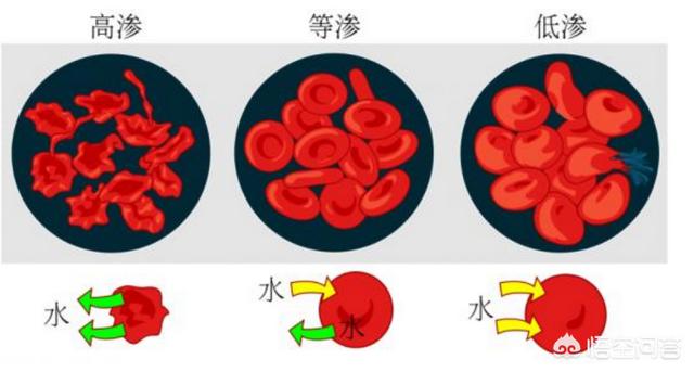 人体需要的微量元素