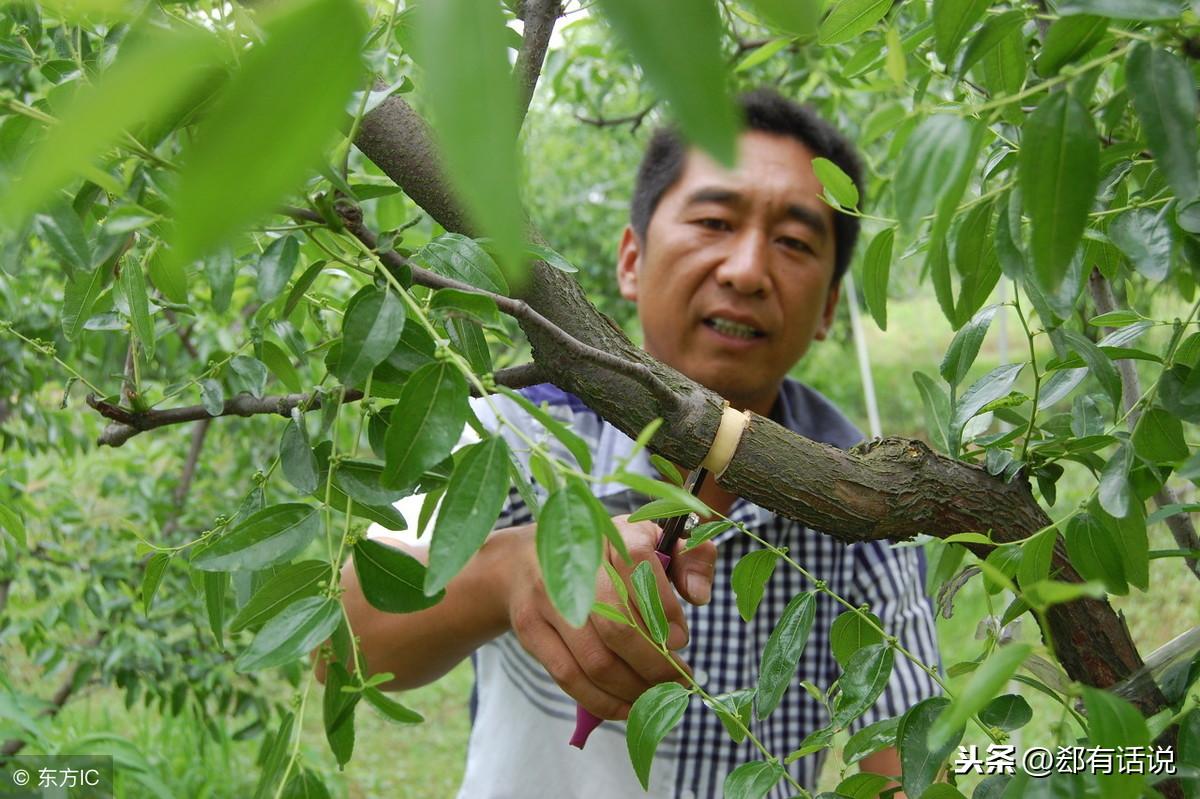 水培蔬菜怎么样补硒