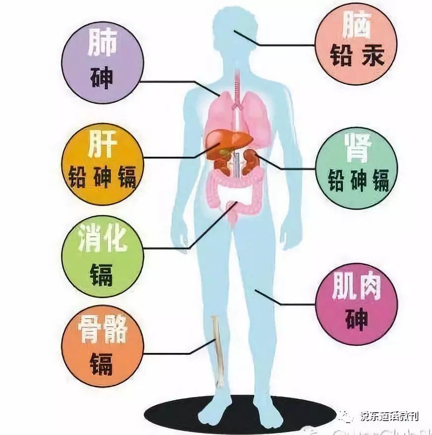 补硒对骨骼有好处吗