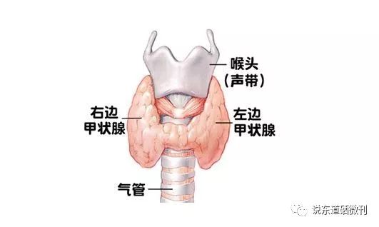 补硒对骨骼有好处吗